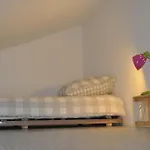 Strasbourg Dans Maison Individuelle Au Calme * Schiltigheim