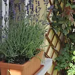 Apartamento Strasbourg Dans Maison Individuelle Au Calme *