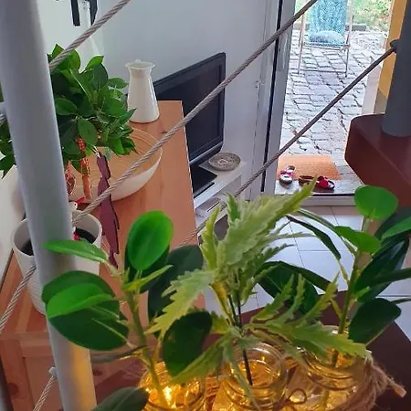 Appartement Strasbourg Dans Maison Individuelle Au Calme Schiltigheim