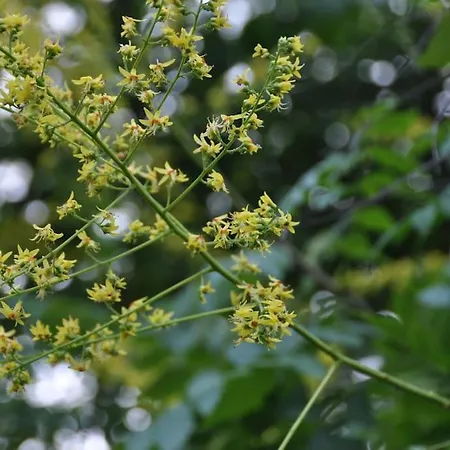Strasbourg Dans Maison Individuelle Au Calme Appartement