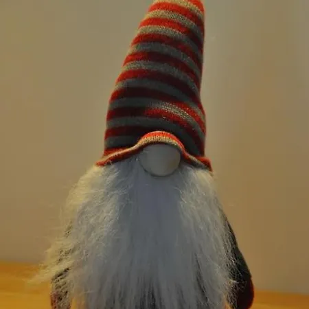 Strasbourg Dans Maison Individuelle Au Calme