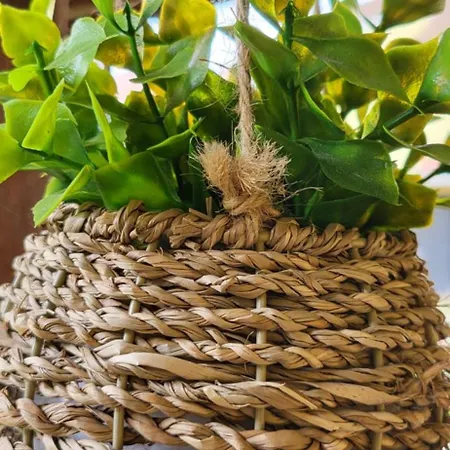 Strasbourg Dans Maison Individuelle Au Calme