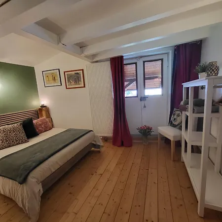Strasbourg Dans Maison Individuelle Au Calme Appartamento